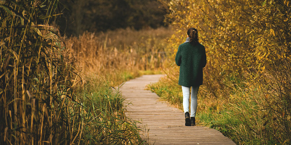 一位成年人在黄昏时分走在树荫大道上，步伐平缓，环境安静舒适